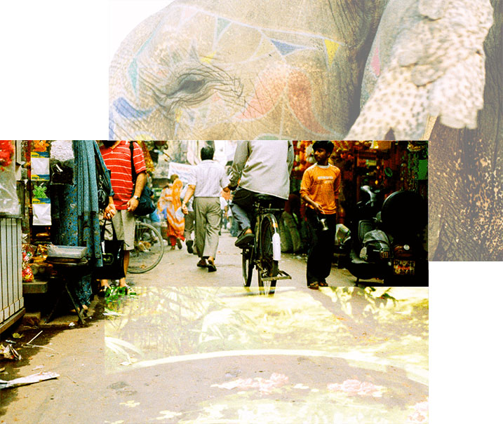 Jaïpur - ville - éléphant